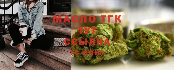индика Корсаков