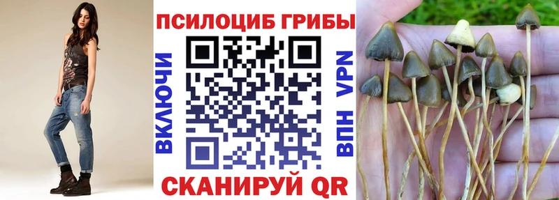 Галлюциногенные грибы Cubensis  Купить закладки  Верхоянск 